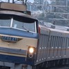 300人限定！TimeTreeありスジ公開、ガセスジ判定やってまーす（雑談⭕️）
