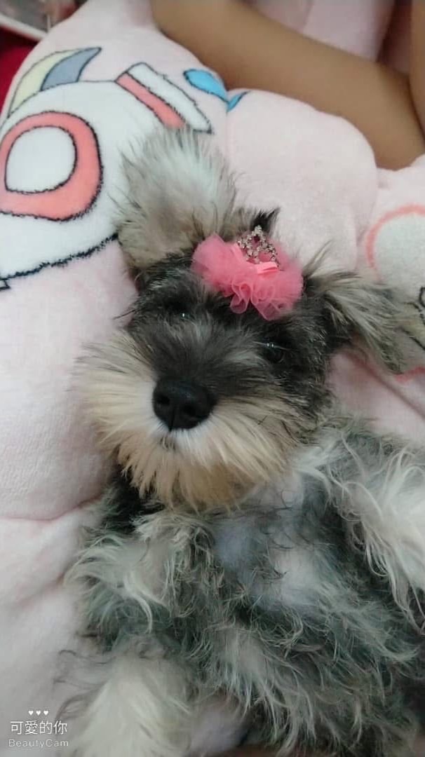 小罐聊天坊