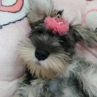 小罐聊天坊