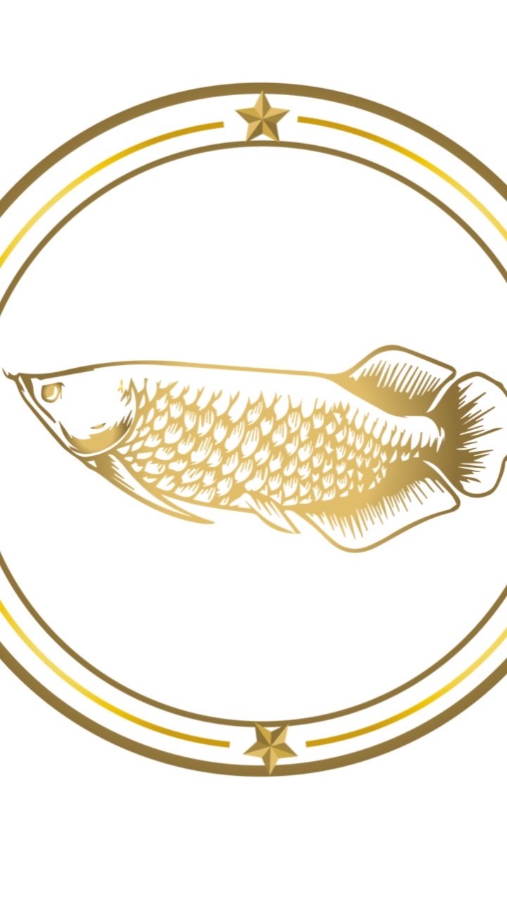 星龍漁業-水族批發