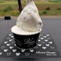 実際訪問したユーザーが直接撮影して投稿した下吉沢アイスクリームジェラテリアベガの写真
