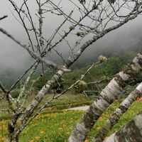 [459]鎖事