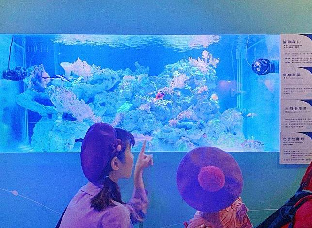 圖片授權：IG@s1511205