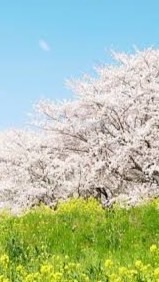工作 クラフト