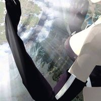 禧事天堂270手動天幣服