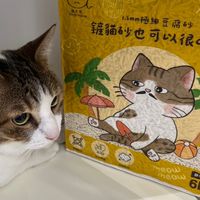 喵大叔小鋪