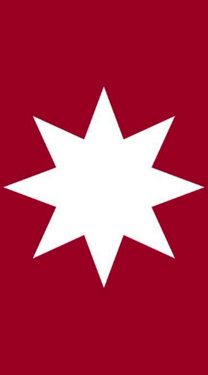 [PEACE SUPPORT ORGANIZATION]