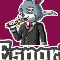 🔥rabbit E-sport🔥