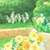 頑張ろうねOC＿＿＿enst独話