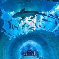 [ DR IV ] :: Aquarium