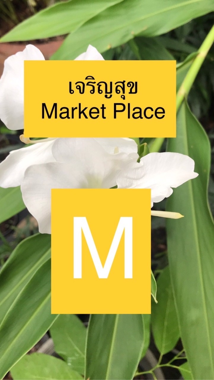 เจริญสุข มาร์เก็ตเพลส