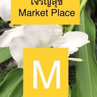 เจริญสุข มาร์เก็ตเพลส