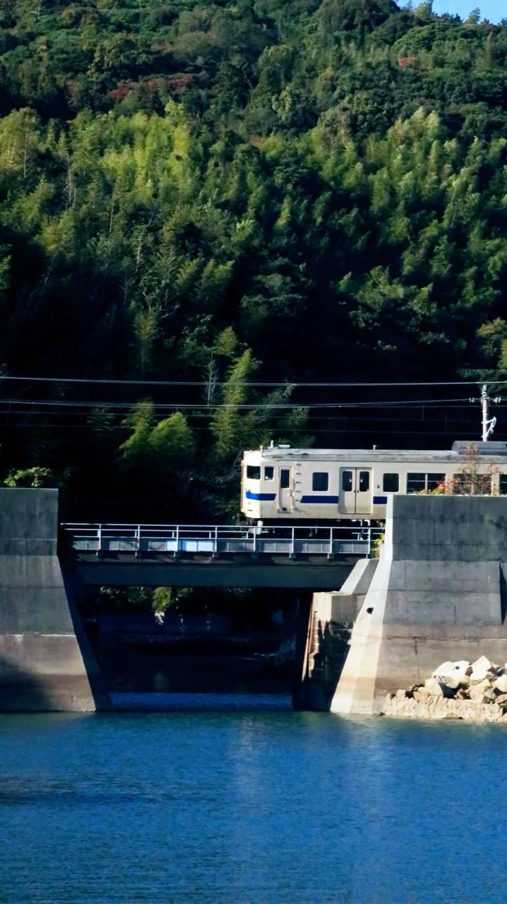 (timetreeあるよー)スジ公開と鉄道雑談