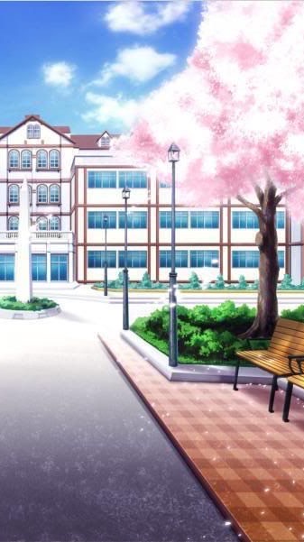 โรงเรียนคอตตอนแคนดี้ Arp