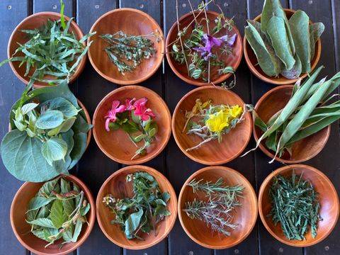 ▲可食用花草十分美麗！（圖/奧丁丁體驗）