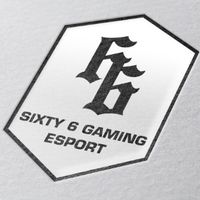 66 GamingEsport