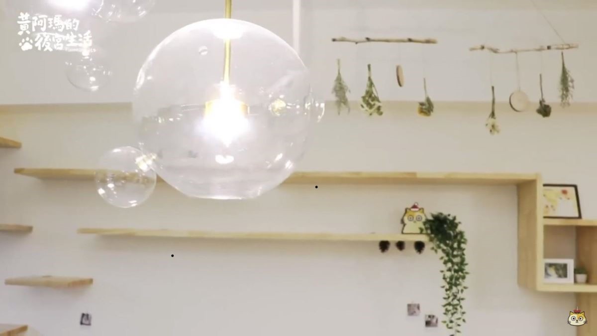 擺放上假的綠色小盆栽及植物，既能達到美化畫面的效果，不會有造成貓咪誤食的危險。