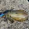 熊本初代釣り道場