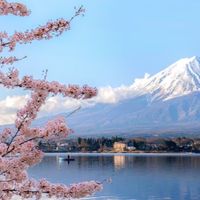 Hello Japan 日本好物代購