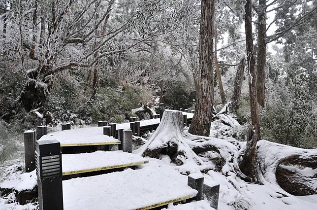 又要下雪了 週四濕冷低溫下探5度太平山 陽明山降雪有望 新頭殼 Line Today