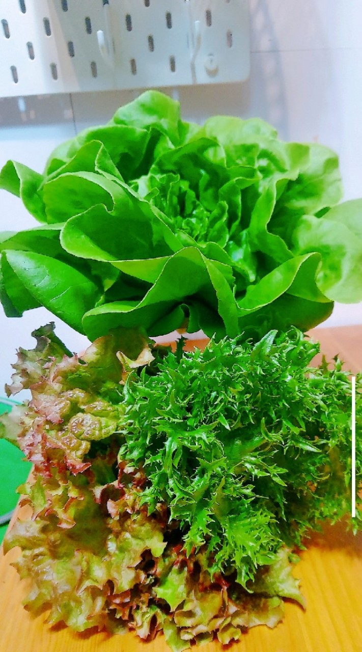 菜魚共食雜貨舖