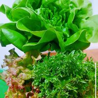 菜魚共食雜貨舖