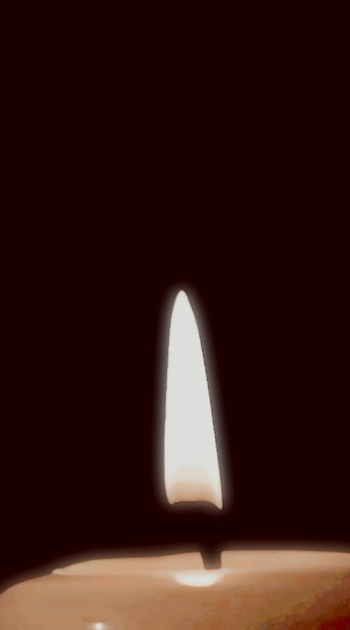 にゃんこ大戦争　汎用編成相談所