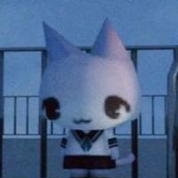雑談・ライブトーク