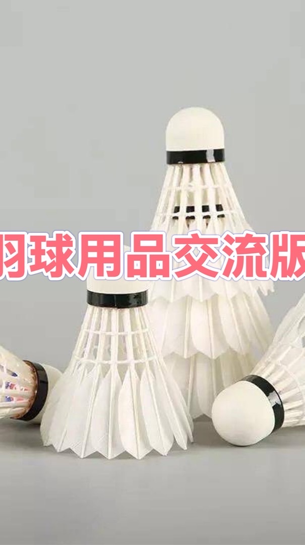 羽球用品全新二手交流版