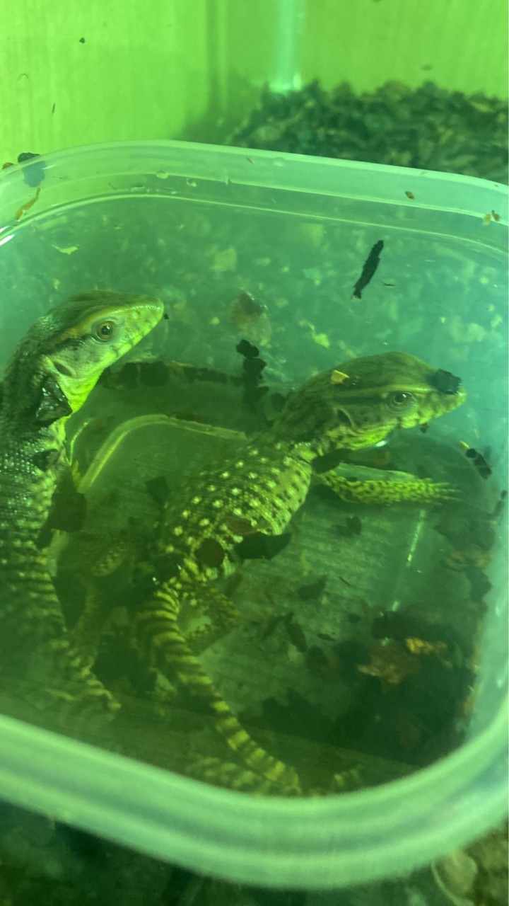 生き物好きの集会 OpenChat