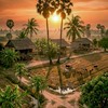 ꓻ ֺ  ͜ ไทบ้านหนองกี่ ₍🌾₎
