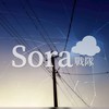 SORA战队