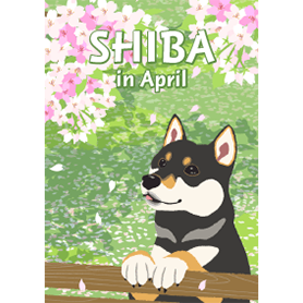 4月の柴犬