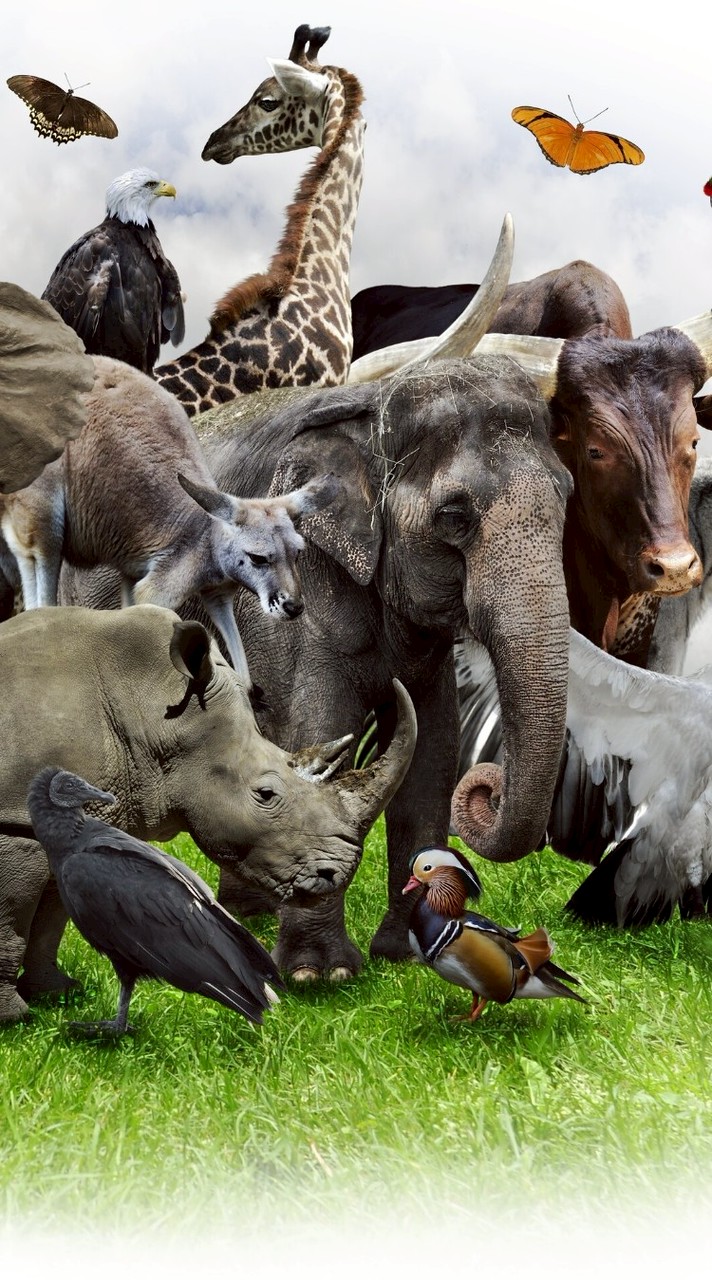 當沖，波段，股票，期貨知識交流社群。第二群 閒雲野鶴2023-6-22創群