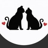 シール情報✨Jewelry🐈‍⬛