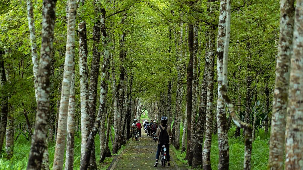 徐行縱谷~花東單車。光復線