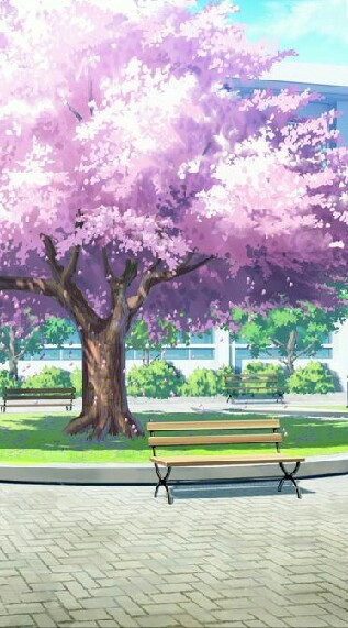 misora school{omegaverse}