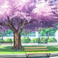 misora school{omegaverse}