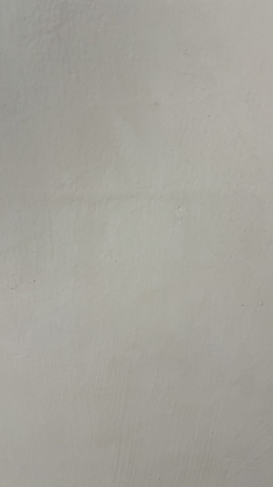 2義天宮蔬果優惠