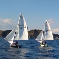 農工大 ヨット部新歓⛵️