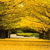 靖盈🌈日韓中台🌈居家生活代購