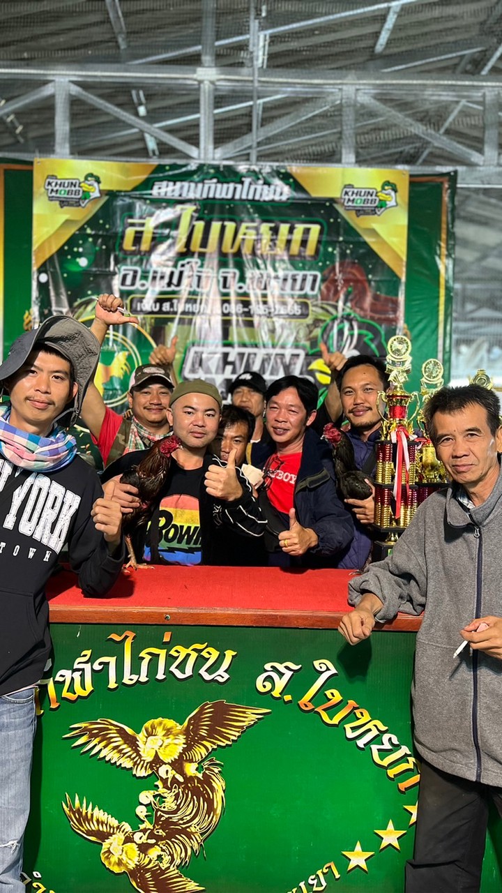 สายเพาะพม่าทางเหนือ ชุ้ม ส เอย่า@ สิงอาร์โอ ใช้ตีได้จริง
