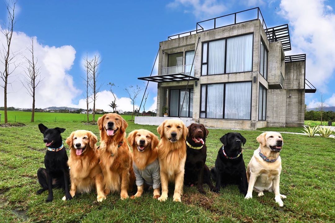 方舟島 @rockynimelo