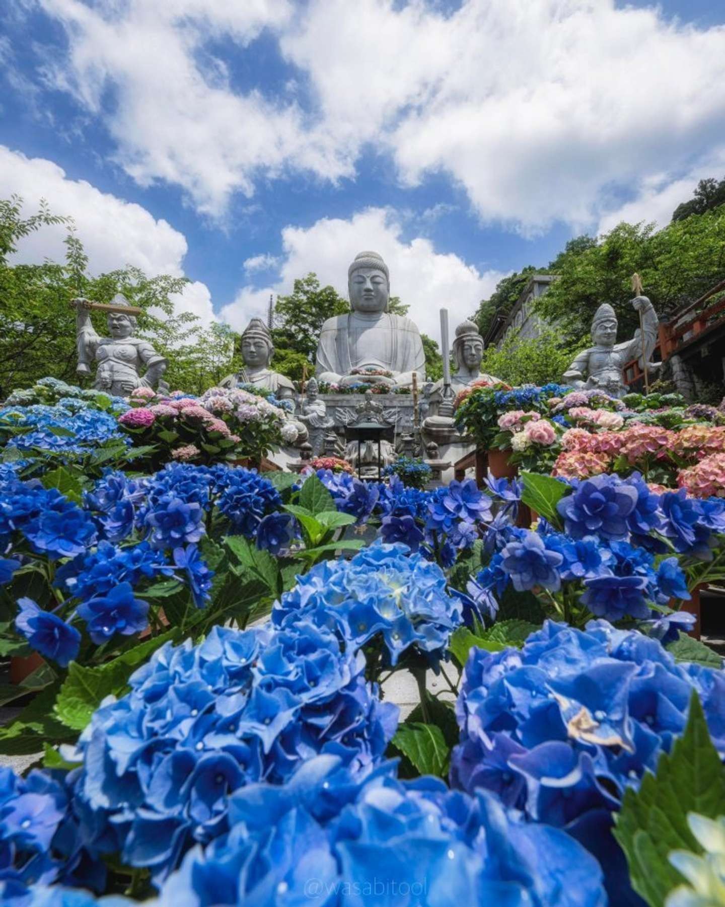 東大寺とは違った魅力があるんやで 奈良・壷阪寺の大仏と自然の調和が