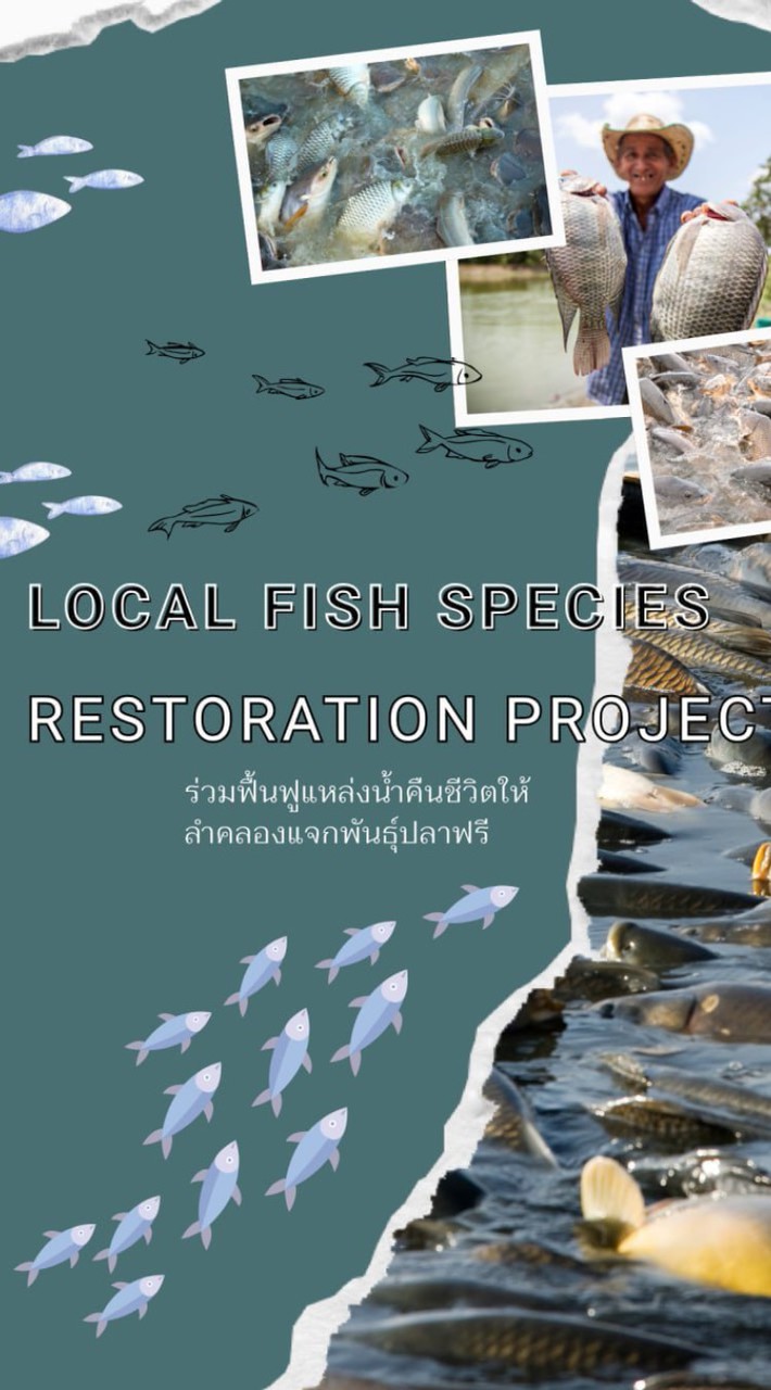 Local fish species restoration project 002