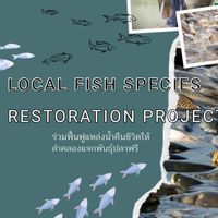 Local fish species restoration project 002