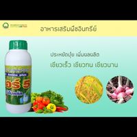 เกษตรกรอินทรีย์ชีวภาพ