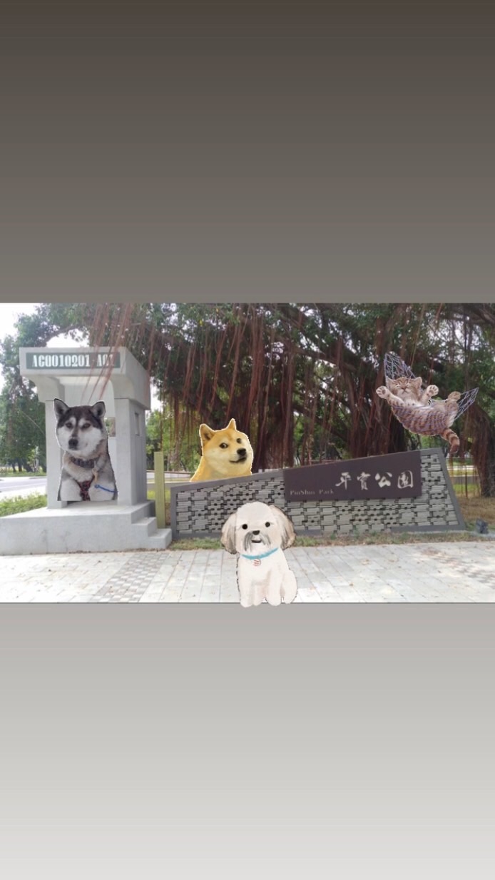 台南平實公園毛孩群