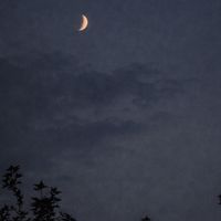 日安樹洞