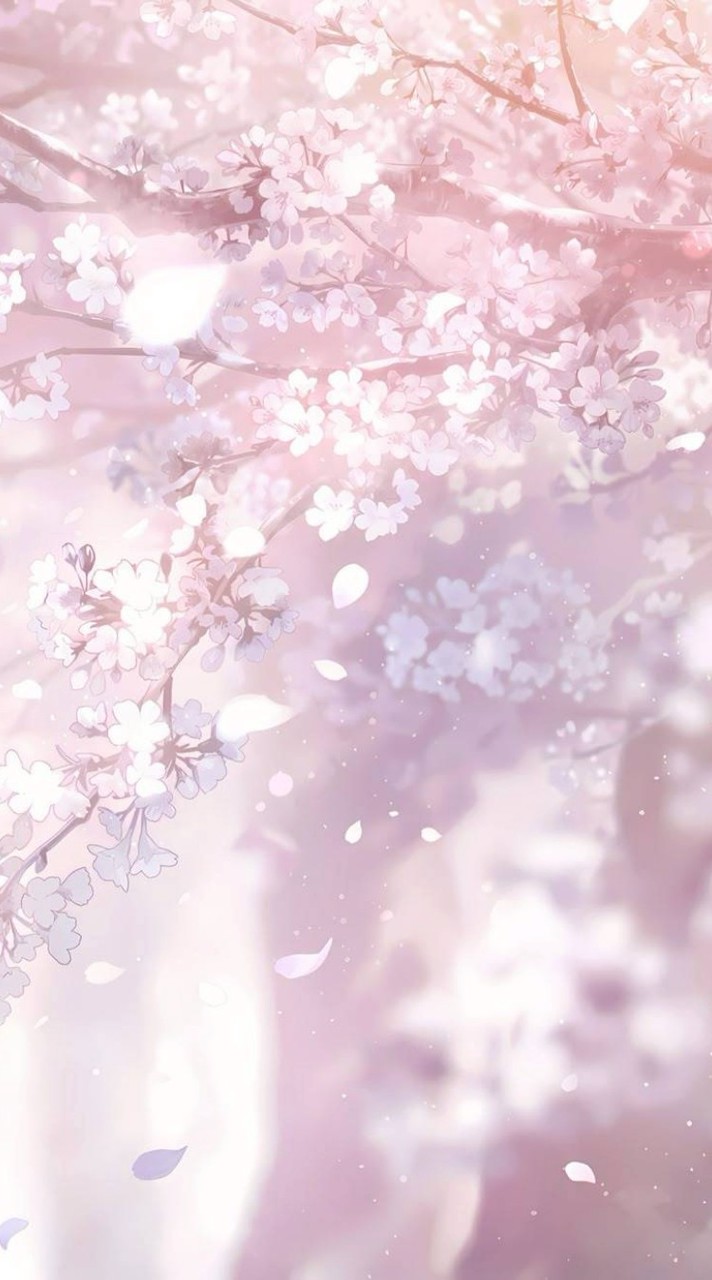 ✧　虹霓本丸　✧